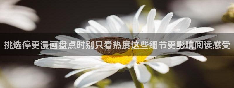 梦漫漫画手机应用：挑选停更漫画盘点时别只看热度这些细节更影响阅读感受