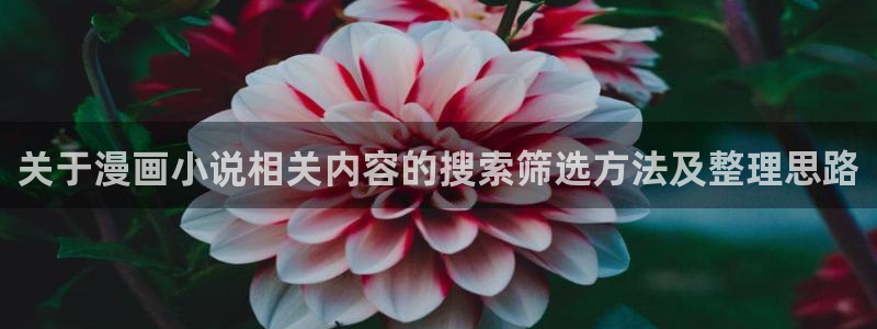 梦漫漫画漫画更新：关于漫画小说相关内容的搜索筛选方法及整理思路