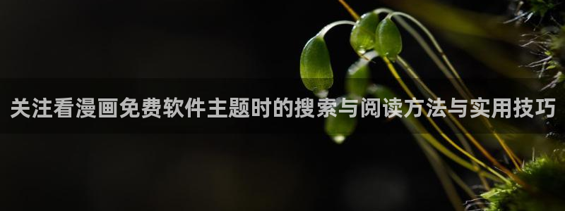 梦漫漫画分类导航：关注看漫画免费软件主题时的搜索与阅读方法与实用技巧