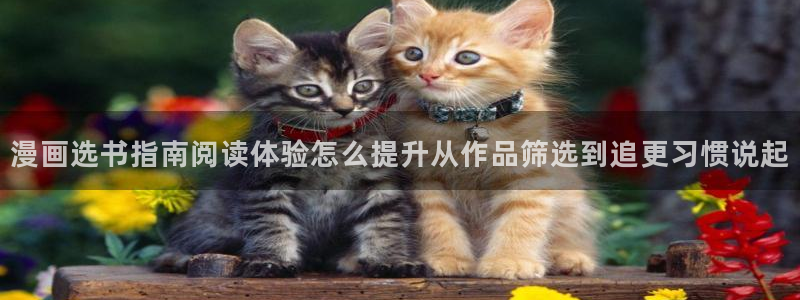 梦漫漫画漫画资讯：漫画选书指南阅读体验怎么提升从作品筛选到追更习惯说起
