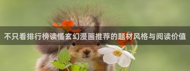 梦漫漫画更新资讯:不只看排行榜读懂玄幻漫画推荐的题材风格与阅读价值